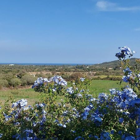 La Casa Di Eve Βίλα Budoni Εξωτερικό φωτογραφία