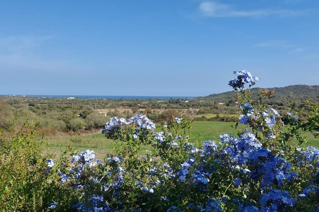 La Casa Di Eve Βίλα Budoni Εξωτερικό φωτογραφία