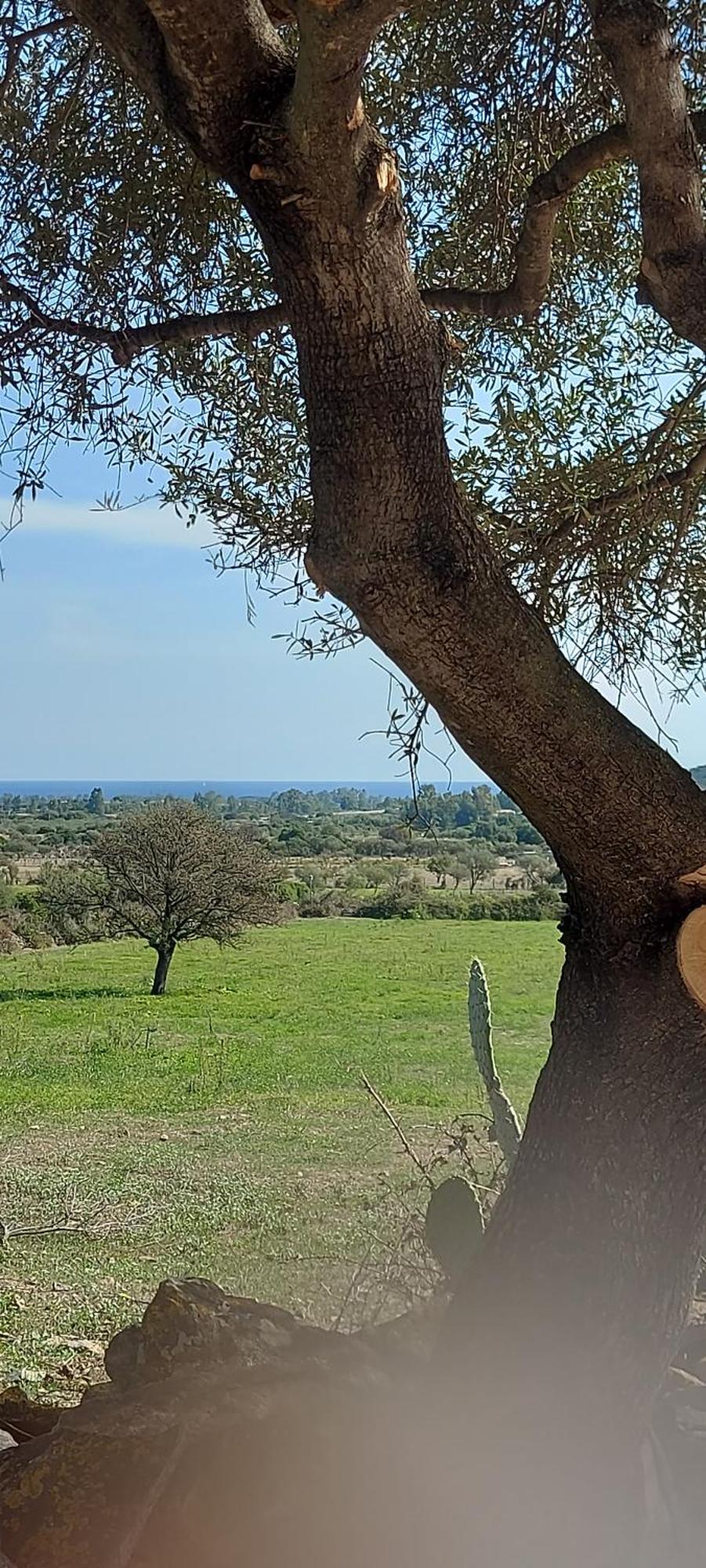 La Casa Di Eve Βίλα Budoni Εξωτερικό φωτογραφία